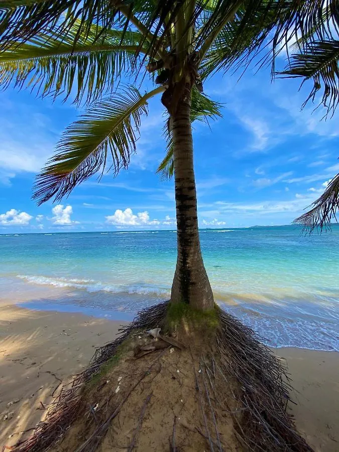 Cozy Beach Apartment Luquillo